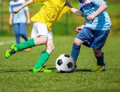 勒沃库森以,击败帕德博,德国杯挺进,皇冠体育app下载,皇冠体育官网,澳门皇冠体育,bet皇冠体育在线