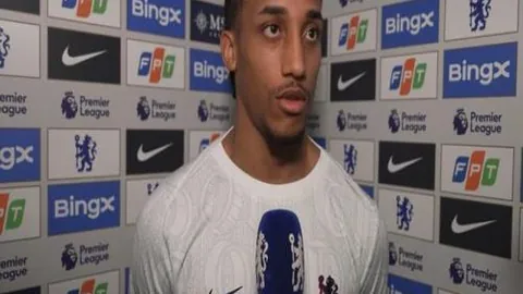 皇冠体育app下载