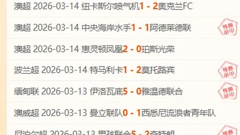 俄罗斯教师领航鲁班工坊之旅：学生联手打造创新智能家居